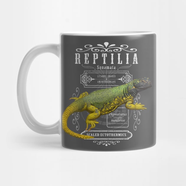 Reptilia by uialwen